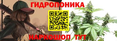 прущие крисы Нарткала