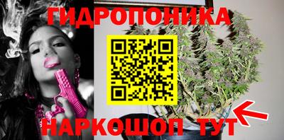 прущие крисы Нарткала