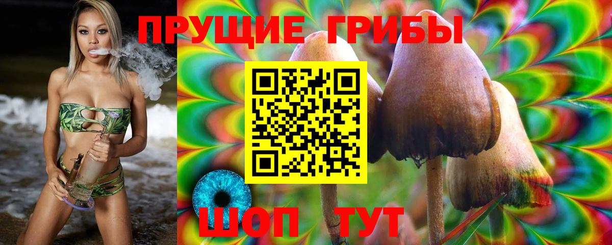 Псилоцибиновые грибы GOLDEN TEACHER  Вход с VPN  Серпухов 